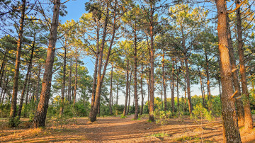 Photo de Plage de Pen Bron