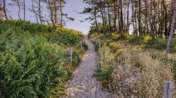 Photo de Plage de Kerler