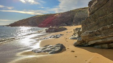 Photo de Plage de Choizeau