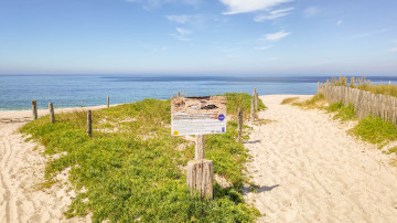Photo de Plage des Kaolins