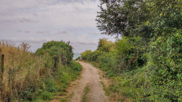 Photo de Plage de Nantois